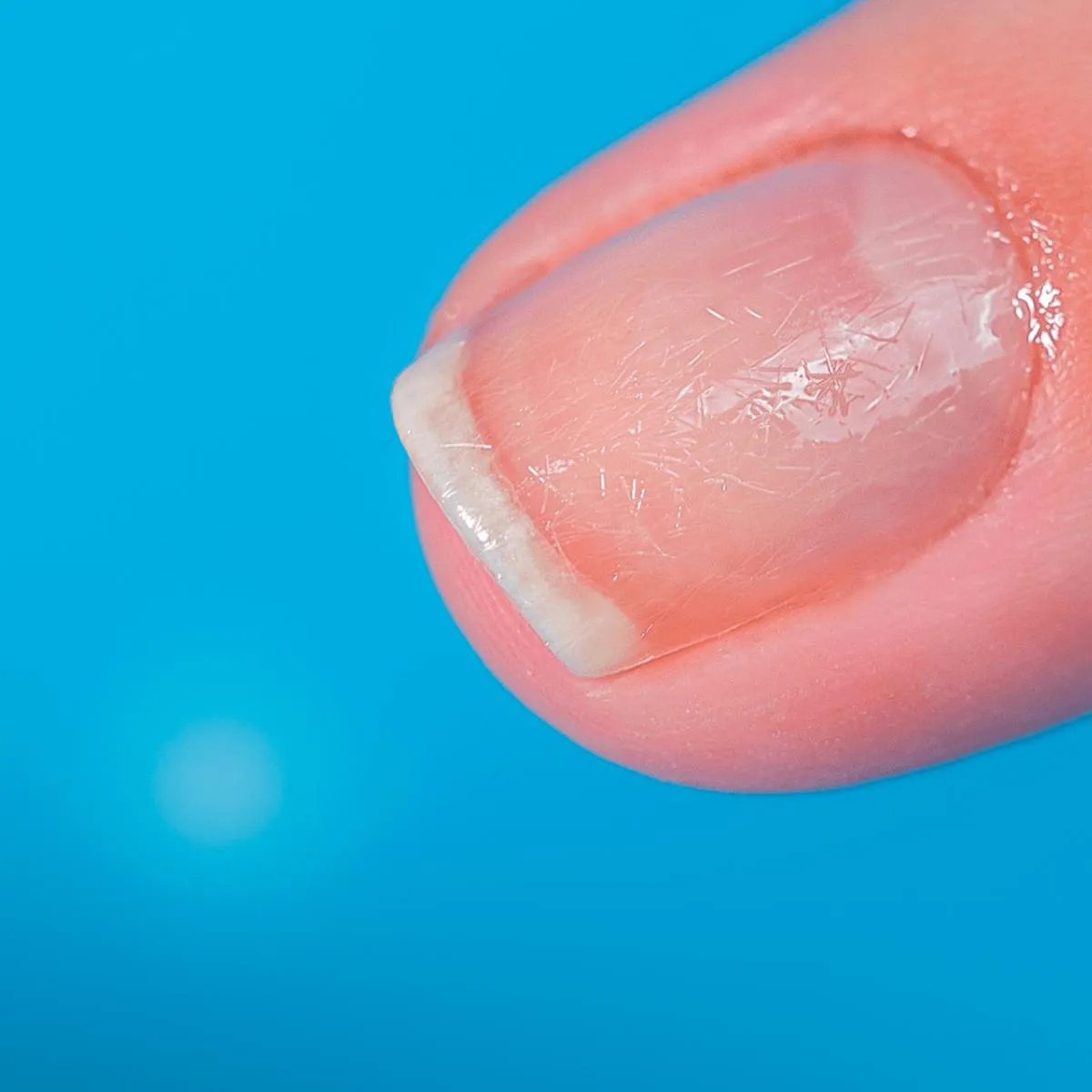Blant Blindagem das Unhas Fibra de Nylon + Nivelador