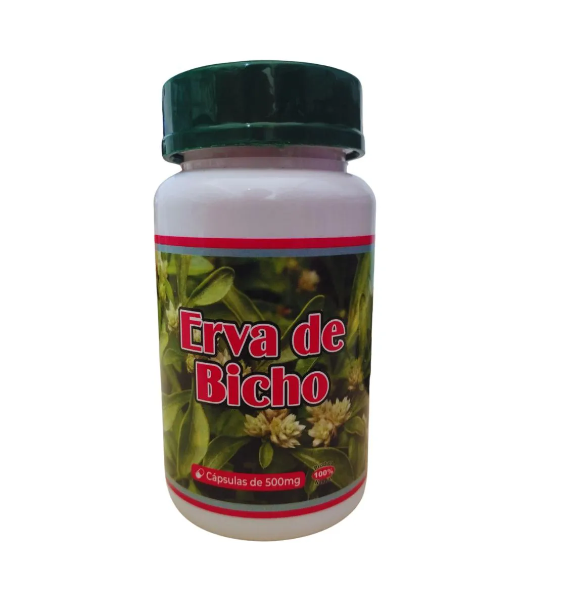Suplemento Erva de Bicho Encapsulado em Pó 500mg 100 Capsulas