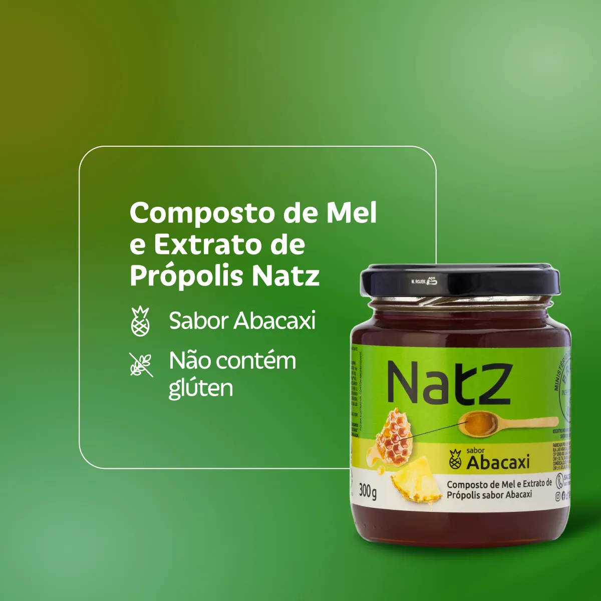 Composto de Mel e Própolis Natz Abacaxi 300g