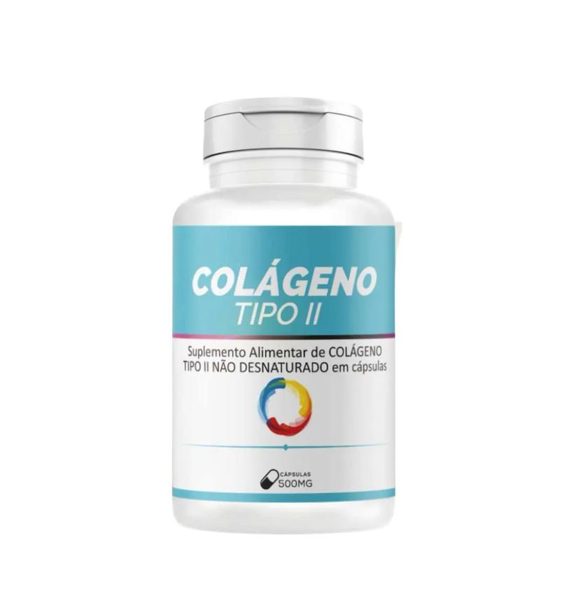 Suplemento Colágeno Tipo Ii Encapsulado em Pó 500mg 120 Capsulas