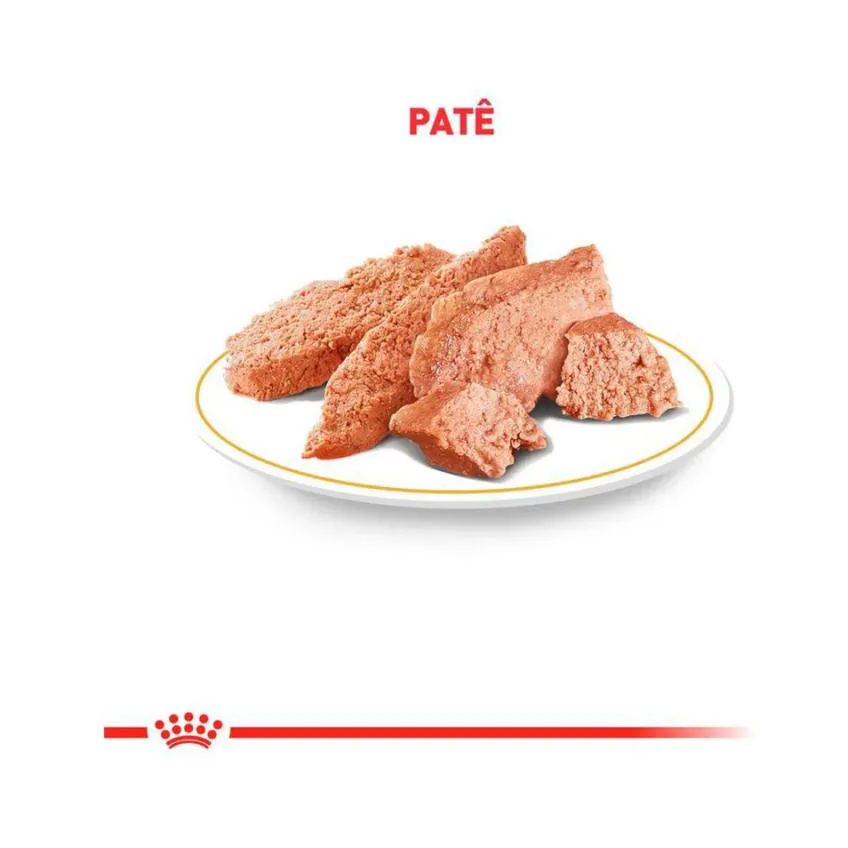 Ração Úmida Lata Royal Canin Dieta Veterinária Urinary S/O para Cães com Doenças Urinárias