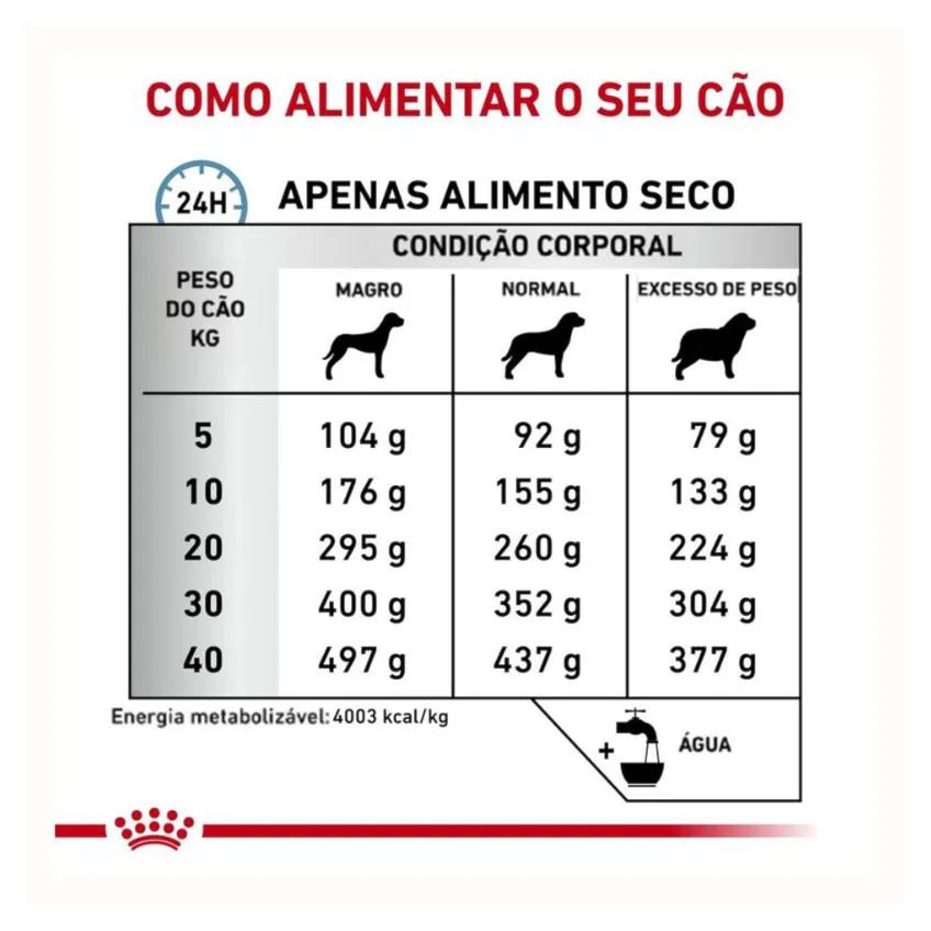 Ração Royal Canin Dieta Veterinária Anallergenic para Cães Adultos 4 Kg